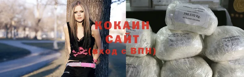 Cocaine Эквадор  как найти   Борзя 